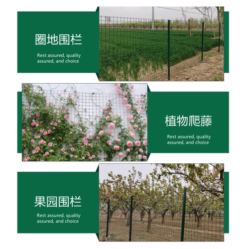 小孔铁丝网围栏养鸡养殖家用菜园果园钢丝护栏防护网栅栏阳台户外 - 图2