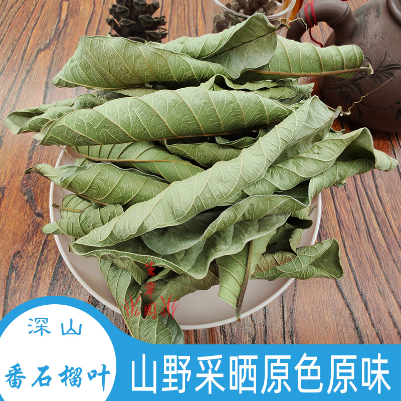 新鲜现摘深山番石榴叶茶芭乐叶茶番石榴叶子番桃叶三高凉茶中药材 - 图0