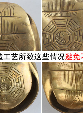 金钱卦解签龟壳摆件工具