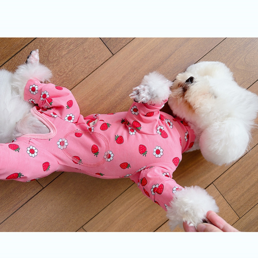 潮查利家宠物用品服饰泰迪比熊狗狗春秋薄款包肚四脚衣公母狗护肚,淘宝优惠券,粉丝福利购,淘宝优惠卷