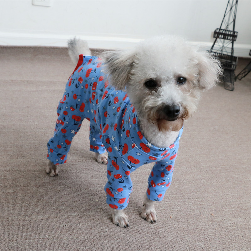 包邮宠物用品服饰泰迪比熊狗狗春秋薄款包肚四脚衣公母狗护肚打底,淘宝优惠券,粉丝福利购,淘宝优惠卷