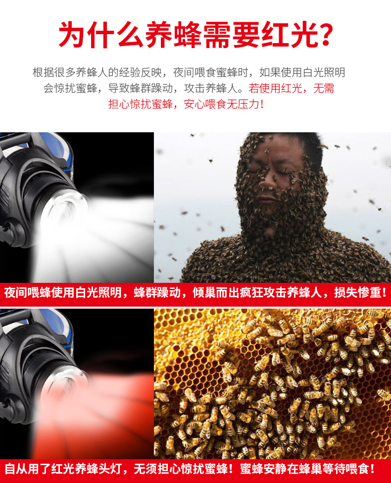 充电红光头灯养蜂专用查看蜜蜂头戴式手电筒感应调焦红白双色光 - 图2