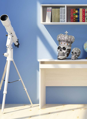 人头骨加勒比海盗万圣节恐怖模型