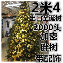 Exit 2000 Head Christmas Tree 2 1 2 4 Decoration Package Encrypted Large Christmas Decoration Mall 2 m 4