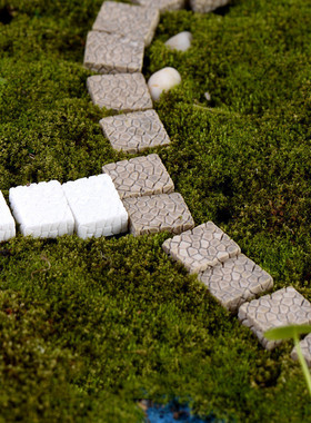 diy苔藓微景观铺路石装饰摆件