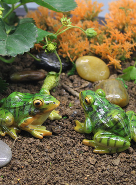 仿真青蛙微景观摆件场景园艺盆景