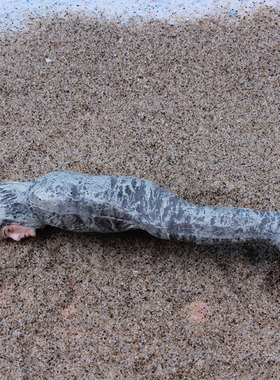 树脂复古桌面微景观沙盘蜘蛛人