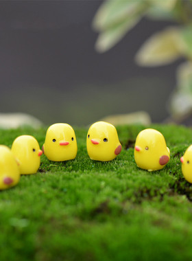 苔藓微景观沙盘黄色小鸡装饰摆件