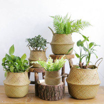 Nordic Grass Choreography Basket Woven Basket Handmade Sea Grass Botanical plant Woven Flower Pots Willow choreographye Decorative Vines Weave Bamboo Basket