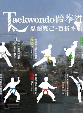 跆拳道武馆培训班学校文字墙贴画