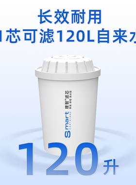 聚蓝bluetech净水壶过滤水壶除杂质减少水垢滤水器三代理智滤芯