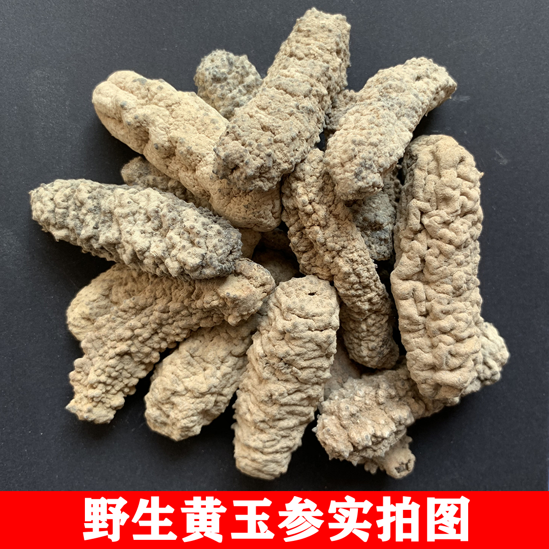 野生黄玉参淡干白黄肉参干货非菲律宾即食刺王参酒店专用水发海参 - 图0