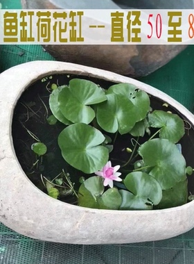 石头鱼缸办公室小阳台室