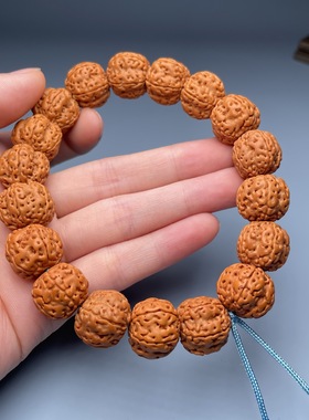 金刚菩提子满肉原籽手串男女款文玩小礼品实用礼物小手持佛珠念珠