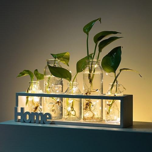 ins简约木质水培玻璃花瓶水培植物透明插花花器客厅家居装饰摆件 - 图0