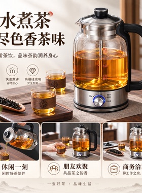 跨境110V电压蒸汽喷淋煮茶器