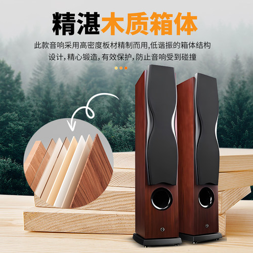 Hivi/惠威 RM600AMKII家庭影院音响套装5.1落地音箱家用客厅环绕 - 图3