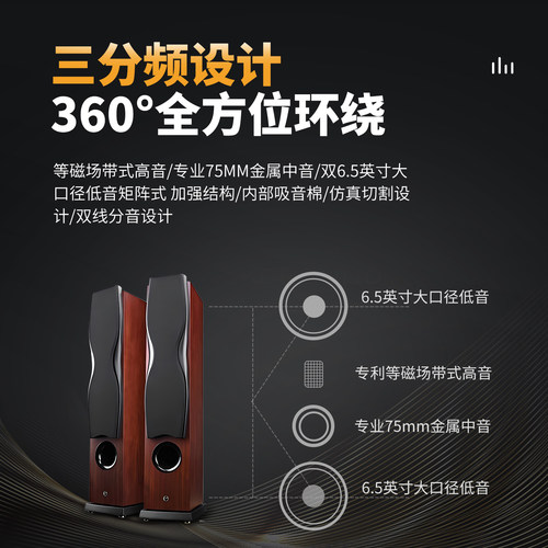 Hivi/惠威 RM600AMKII家庭影院音响套装5.1落地音箱家用客厅环绕 - 图0
