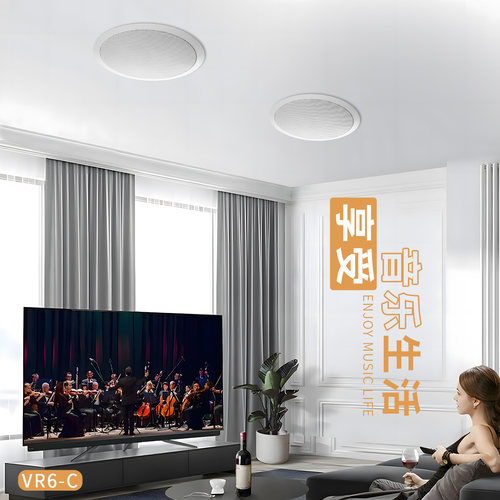 Hivi/惠威 VR6-C同轴高低音吸顶喇叭VR5-C立体声天花音响定阻音箱 - 图1