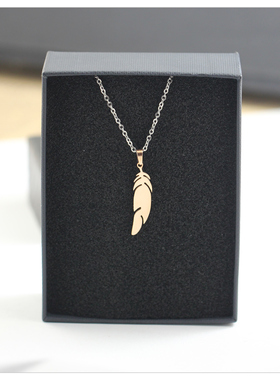 甜酷百搭羽毛项链女2024年新款钛钢锁骨链颈链轻奢小众高级设计感