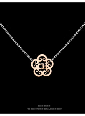 花CH项链女款轻奢小众高级2024新款爆款锁骨链颈链配饰