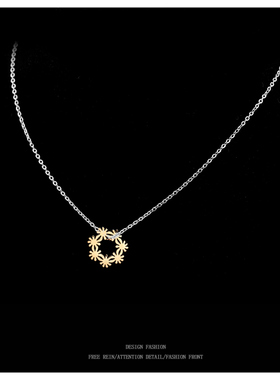 不掉色2024新款轻奢小众玫瑰金色颈链设计感高级女夏项链锁骨链女