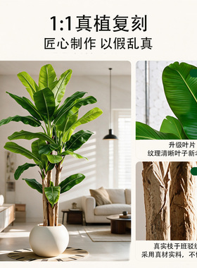 仿真绿植芭蕉树室内高端轻奢仿生装饰摆件大型高级落地盆栽假植物