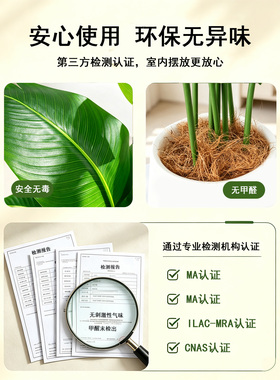 仿真绿植假天堂鸟高端轻奢大盆栽