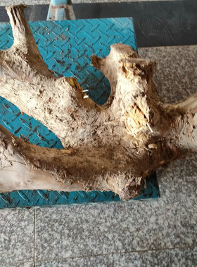 JS2金丝楠小叶桢楠木水波花纹天然随形木根雕刻料diy底座料摆件料