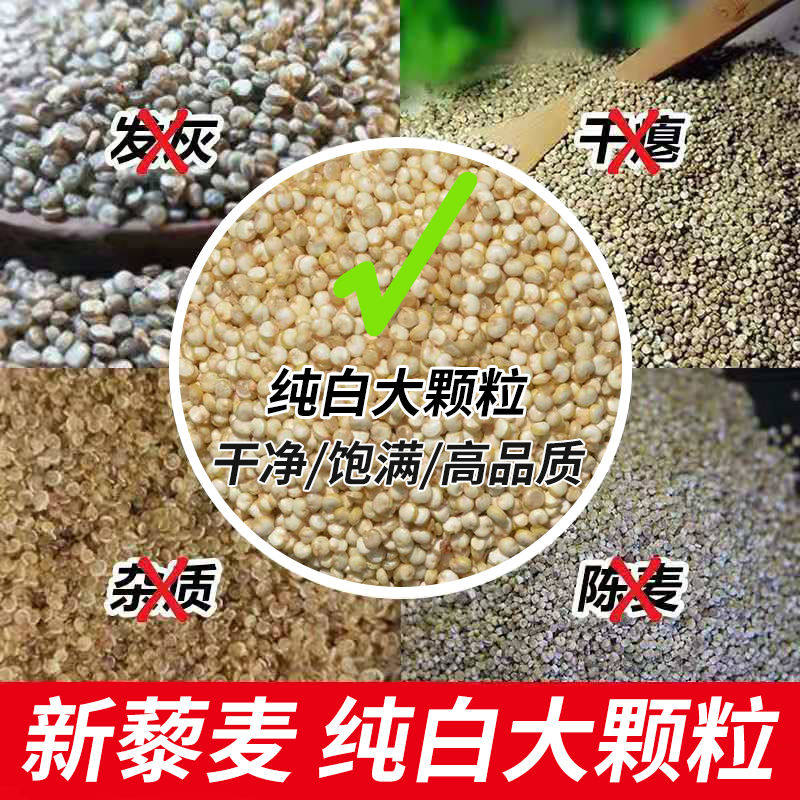 9斤青海藜麦米高原白黎麦五谷杂粮粗粮代餐食用新米_虎窝淘