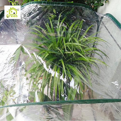 小型阳台雨棚花园多肉绿植保护膜冬季植物防寒保温暖棚种菜保湿罩 - 图3