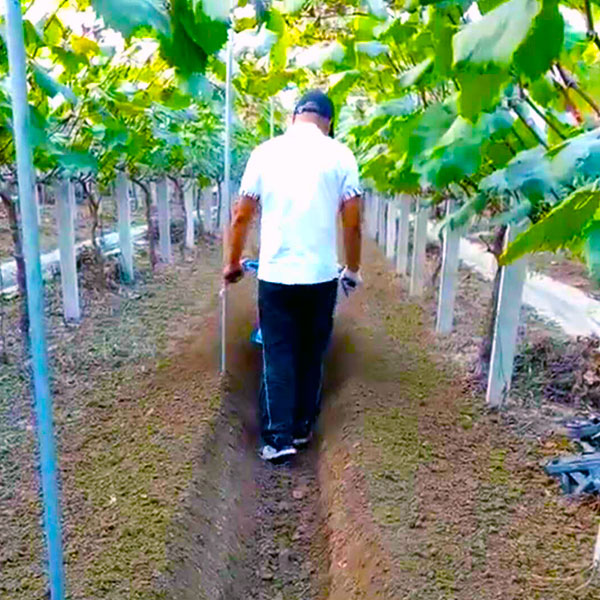 多功能韭菜上土机辣椒田园管理机羊肚菌土豆开沟培土机草莓起垄机-图2