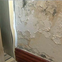 Batch Soil Cream Wall Repair White Wall Emulsion Paint Wall Patch Wall Patch Home Lacquer To Stains Waterproof Door Frame Breakage