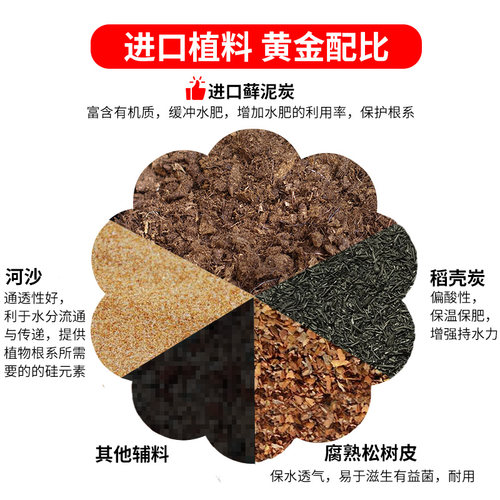 兰花专用土兰花土透气兰花营养土家用蝴蝶兰石斛君子兰植料松树皮 - 图0