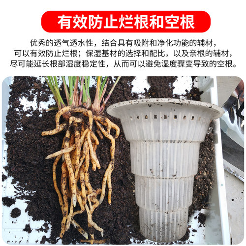 兰花专用土兰花土透气兰花营养土家用蝴蝶兰石斛君子兰植料松树皮 - 图2