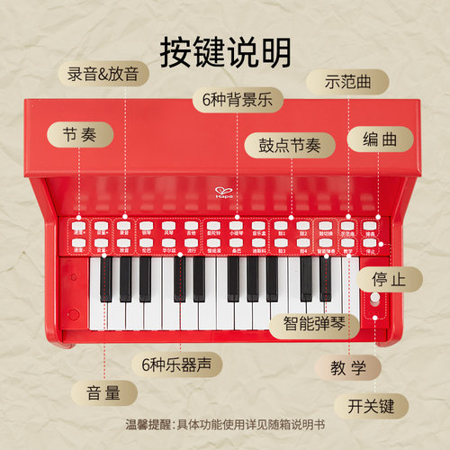 Hape儿童钢琴玩具木质多功能弹奏电子琴家用婴儿男孩宝宝女孩礼物 - 图2