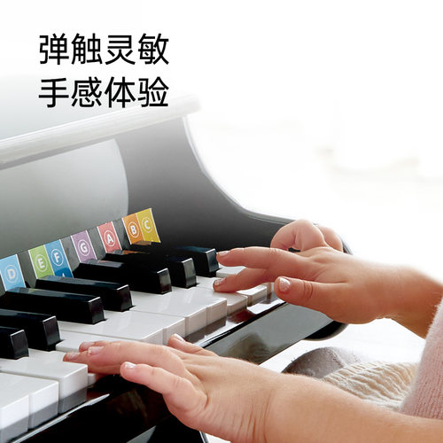 Hape25键机械钢琴家用音乐启蒙3-10岁宝宝木质婴幼儿益智玩具迷你 - 图0