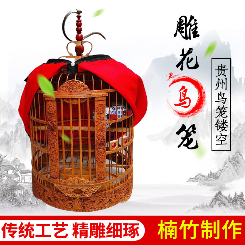 鹦鹉花八哥 新人首单立减十元 21年8月 淘宝海外