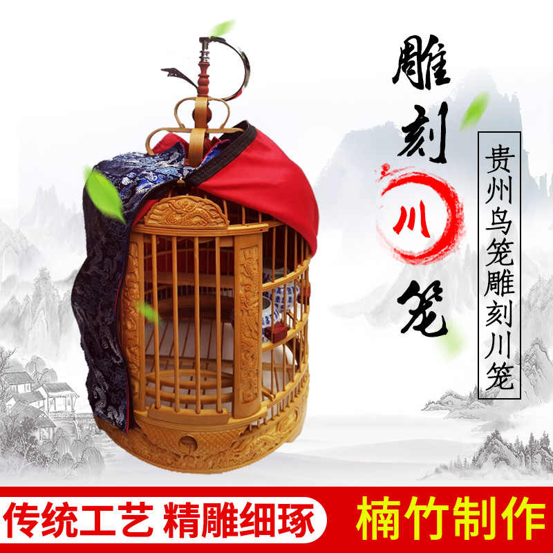 鹦鹉花八哥 新人首单立减十元 21年8月 淘宝海外