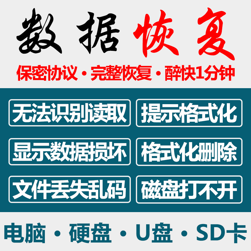 电脑固态移动硬盘数据恢复U盘维修内存SD卡照片文件远程修复服务 - 图3