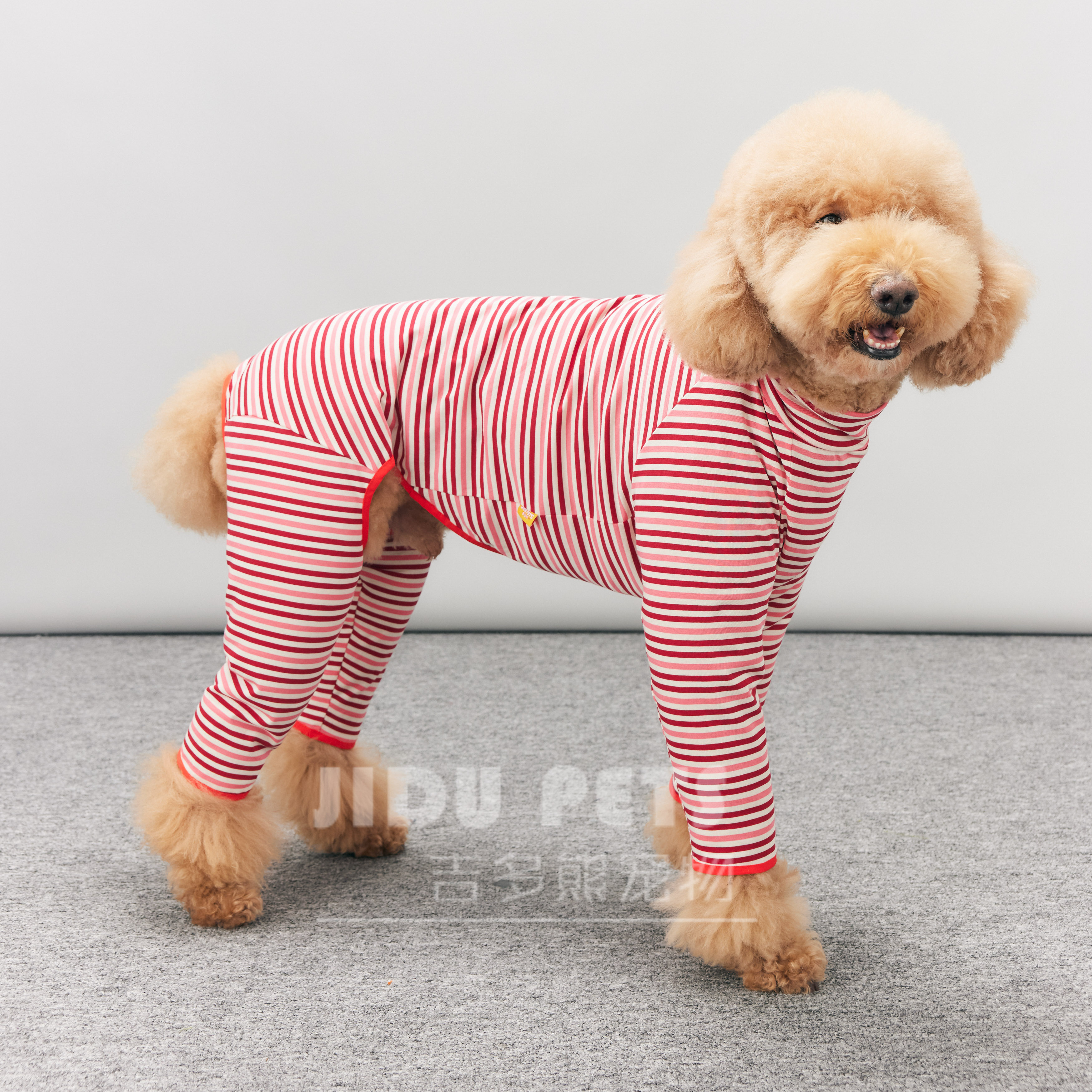 宠物服装大型犬打底衫四腿加长防掉毛四脚衣防外出脏狗衣服巨贵犬 - 图3
