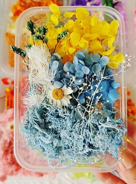 真花永生花苔藓干花盒手工diy制作混装干花盒相框团扇蜡烛石膏材