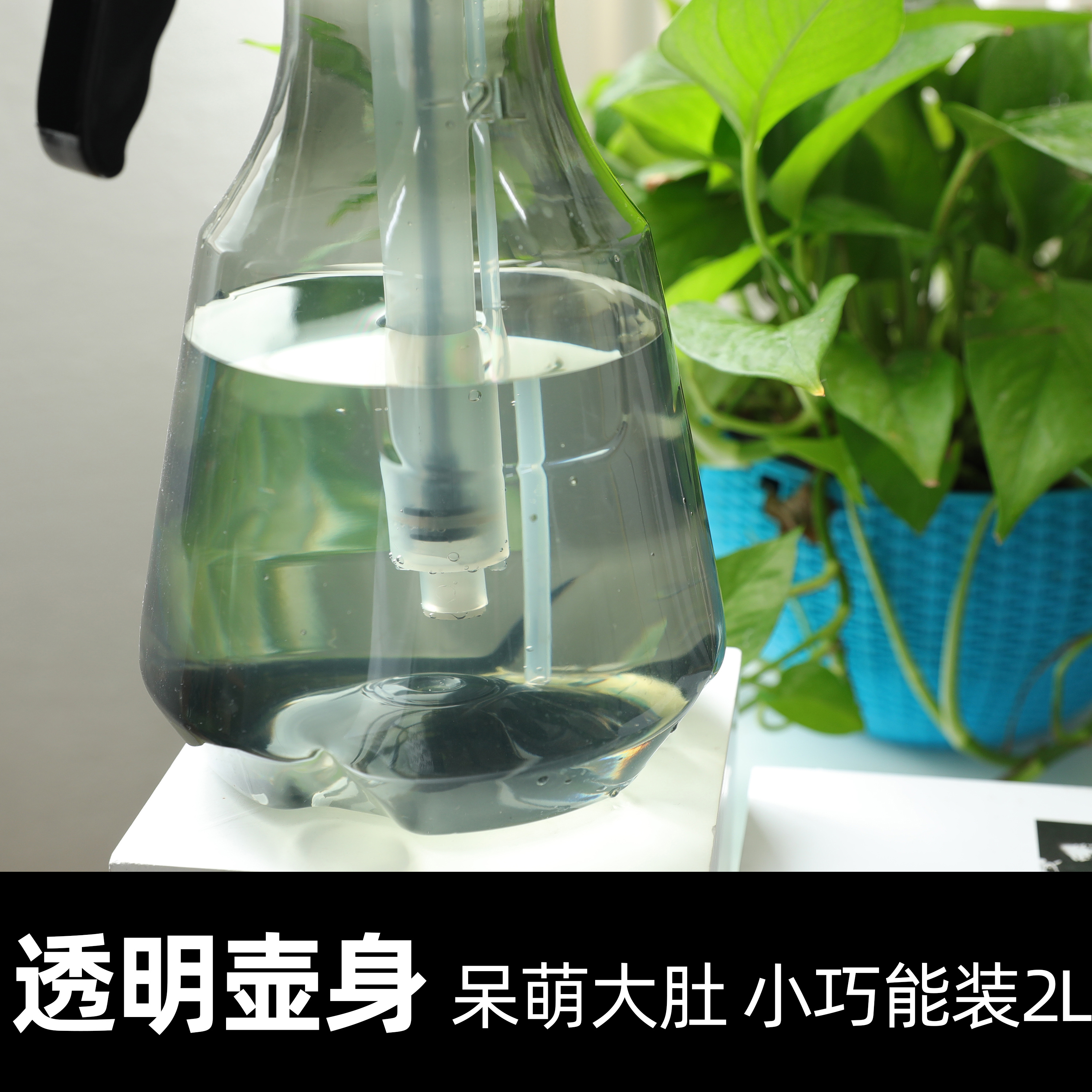 浇花喷壶喷雾瓶家用洒水壶气压式小型喷雾器消毒专用浇水壶喷水壶-图1