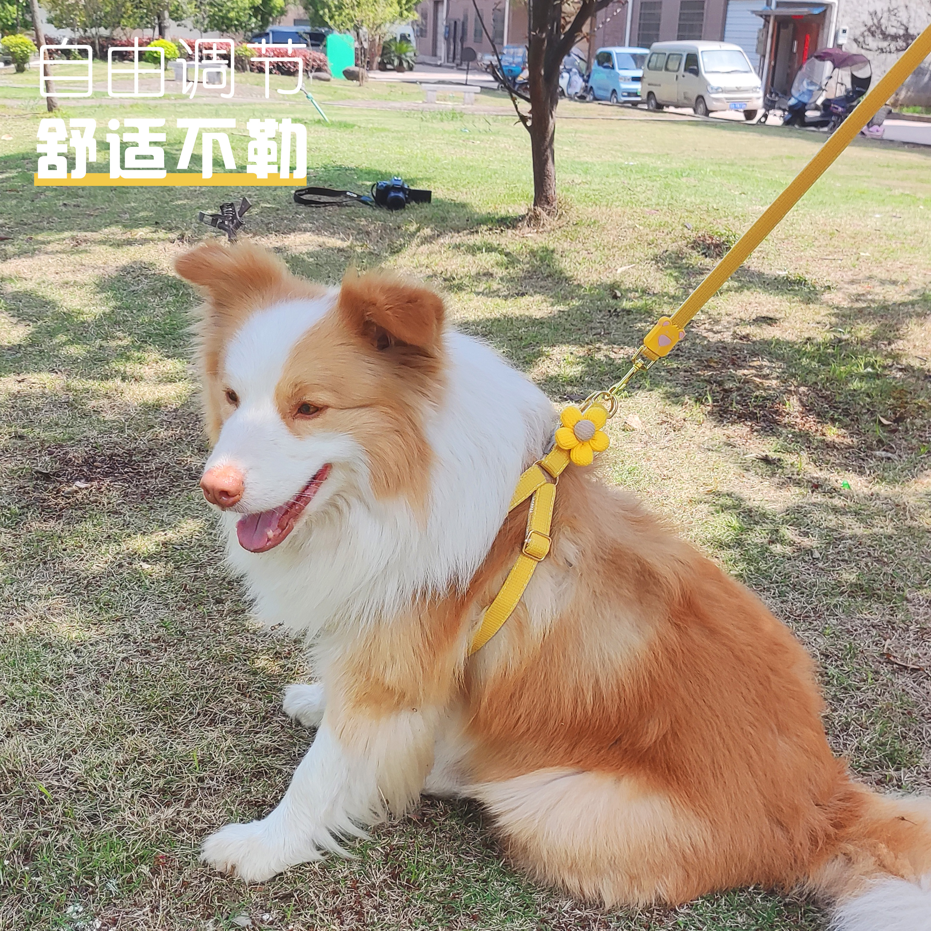 背心式狗狗牵引绳小型犬胸背带柯基泰迪小狗幼犬狗链子遛狗绳胸背 - 图2