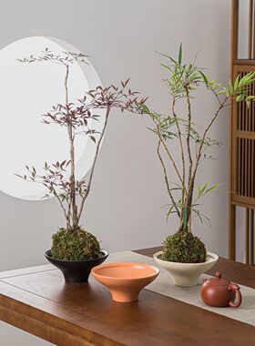 禅意陶瓷花盆高档盆景艺术