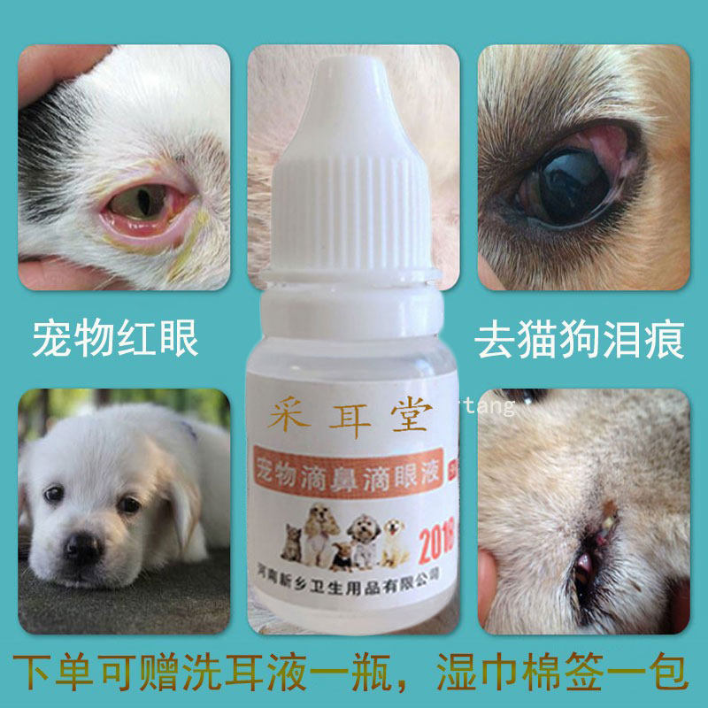 氯霉素滴眼液宠物眼药水犬猫咪眼睛红猫鼻只感染角膜结膜类10ml瓶