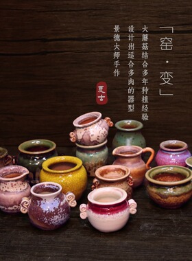 大蘑菇控养景德镇中国风花盆