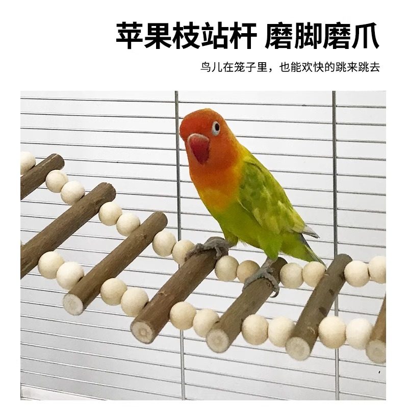 鹦鹉秋千鸟笼玩具用品啃咬虎皮玄凤爬梯云梯吊环桥苹果木站杆全套,淘宝优惠券,粉丝福利购,淘宝优惠卷