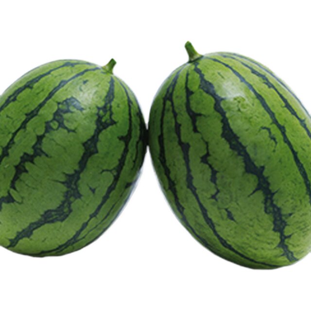 Seedling seeds are easy to manage and easy to plant after sales.