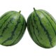 Seedling seeds are easy to manage and easy to plant after sales.
